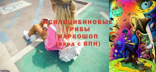 молекула духа Алзамай