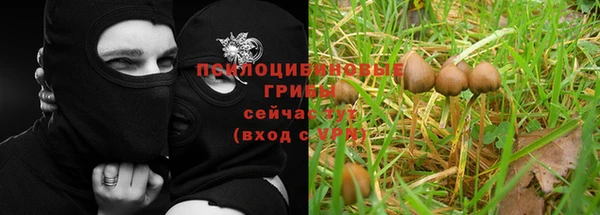молекула духа Алзамай