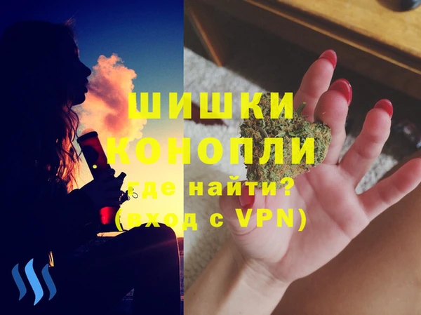 дживик Новодвинск